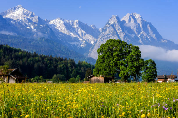 Colorful meadows and snow-capped mountains in Garmisch Partenkirchen with views of the Wetterstein Mountains