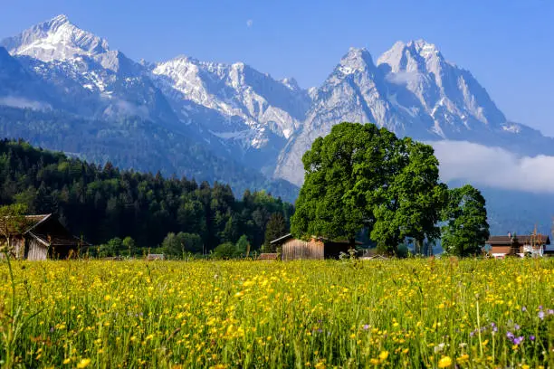 Colorful meadows and snow-capped mountains in Garmisch Partenkirchen with views of the Wetterstein Mountains