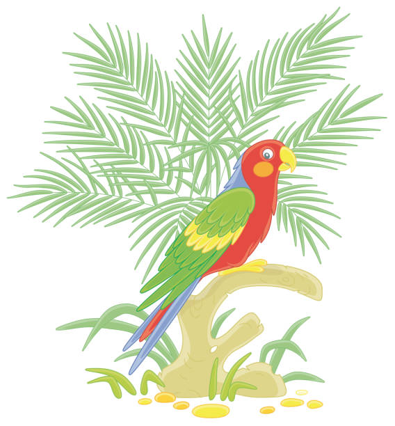 забавный красочный попугай в тропических джунглях - parrot multi colored bird perching stock illustrations