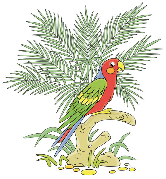 забавный красочный попугай в тропических джунглях - parrot multi colored bird perching stock illustrations