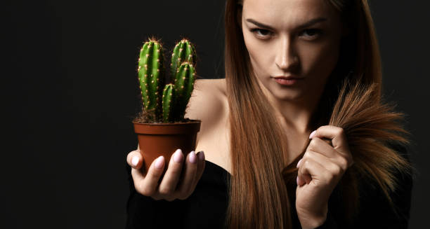 nieszczęśliwa szalona młoda kobieta z długimi prostymi włosami porównuje rozdwajające się końce włosów z rośliną kaktusa w doniczce, którą trzyma - moisturizer women cosmetics body zdjęcia i obrazy z banku zdjęć