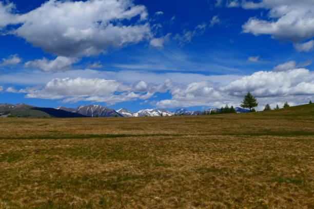 istock Plateau Saint Jean, around Beuil les Launes 1319389792