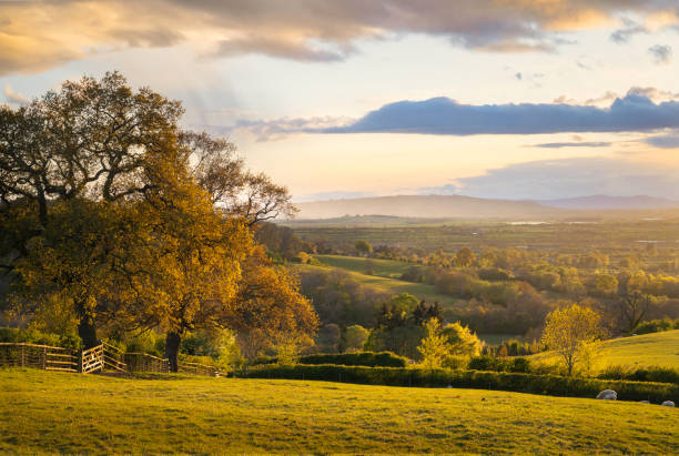 istock View over Saintbury towards Bredon Hill, Cotswolds, Gloucestershire, England 1319398250
