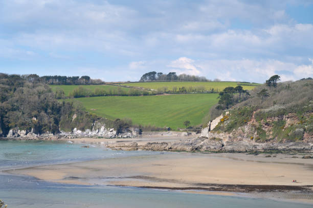 istock Mothecombe Beach, The Erme Estuary, Devon, England 1319398903