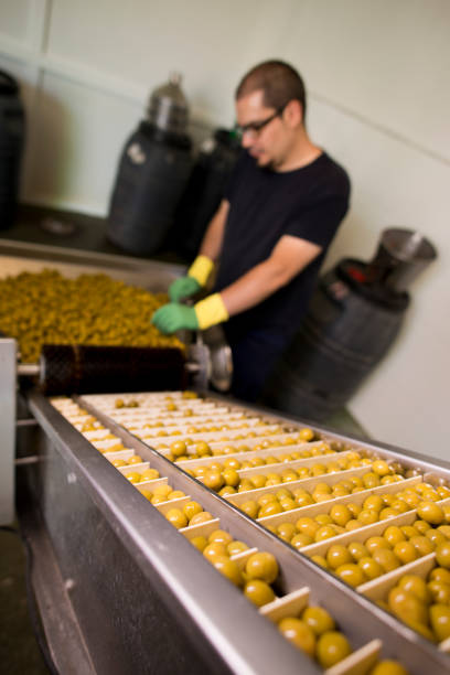 istock Man working at olives factory 1319404297