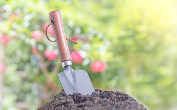 metalowa paca kopania gleby z rozmytym zielonym tle, łopata ręczna do ogrodnictwa - hand shovel zdjęcia i obrazy z banku zdjęć