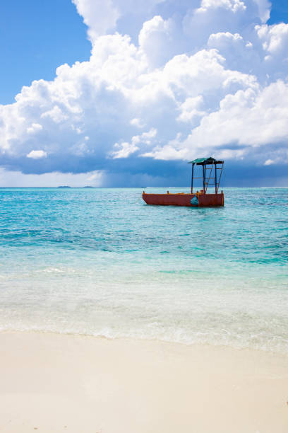 istock Turquoise blue sea water shore and cloudy sky 1319404960