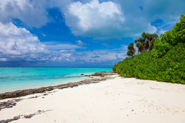 istock Turquoise blue sea water shore and cloudy sky 1319405690