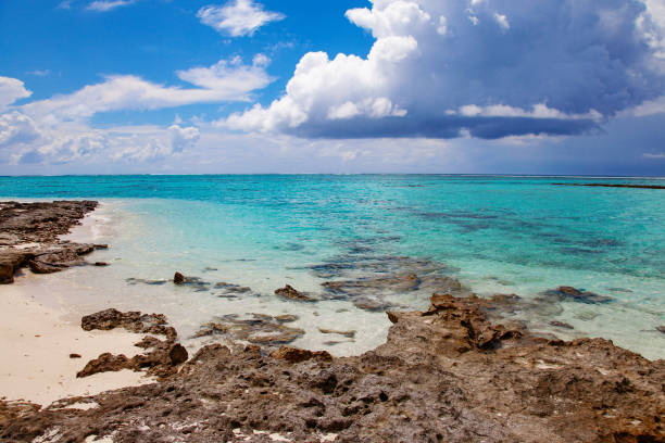 istock Turquoise blue sea water shore and cloudy sky 1319405867