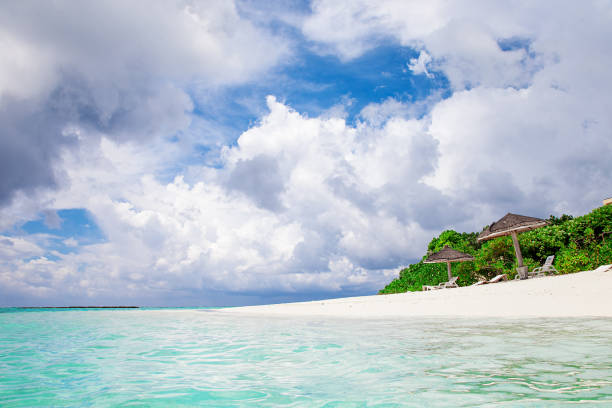 istock Maldive Sand Beach and green palm foliage view 1319406016