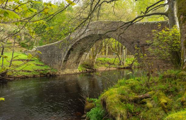 istock Ivelet Bridge in Springtime with the River Swale flowing beneath.  Gunnerside, North Yorkshire, UK 1319406100