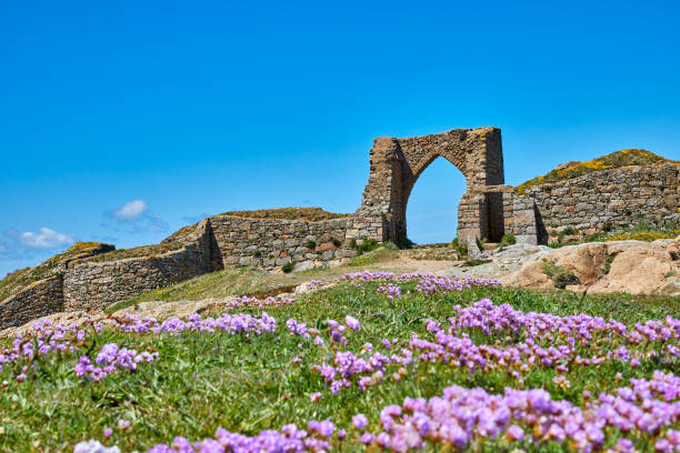 grosnez castle, jersey ci - jersey uk nature landscape imagens e fotografias de stock