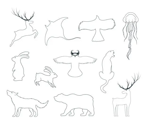 Vector illustration of Hand drawn vector isolated illustration of animals outlines. Icons of hare, deer, wolf, bear, owl, whale, stingray, jellyfish, panther, eagle.