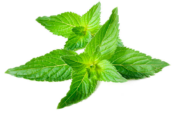 istock Leaves of fresh fragrant mint 131941675
