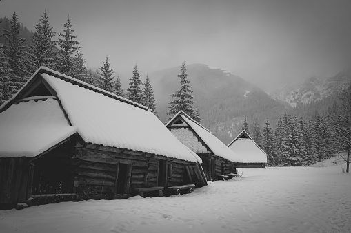 Monochrome view of old mountain chalets in Dolina Jaworzynki, Tatra Mountains, Poland. Winter in Podhale region. Selective focus on the exterior of the buildings, blurred background.