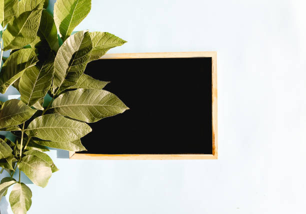 istock Green leaves and chalkboard. 1319428179