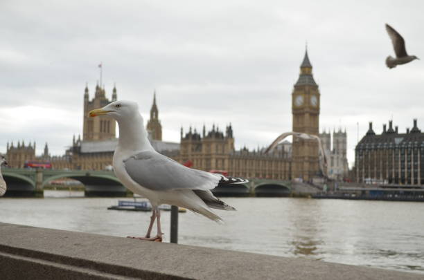 Big Ben in London with an interesting perspective