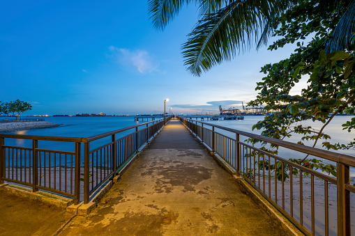 A concrete waterfront walking pier in Singapore leading to the Pacific Ocean. In front a palm tree.