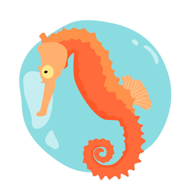 koń morski abstrakcyjny wektor clipart eps - mammal hippocampus stock illustrations