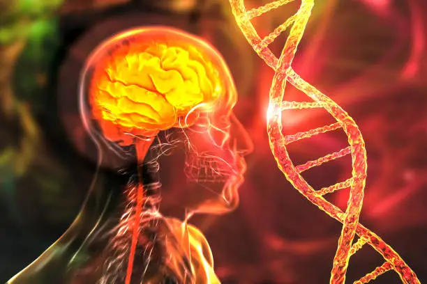 Genetic brain disorders, conceptual 3D illustration. Mutations in the DNA leading to brain diseases. Neurogenetics, neurodegenerative disorders
