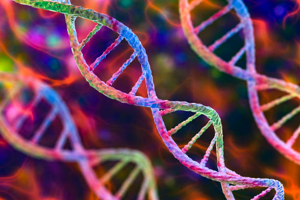 molekül der dna, doppelhelix, 3d-illustration - dna chromosome genetic research genetic mutation stock-fotos und bilder