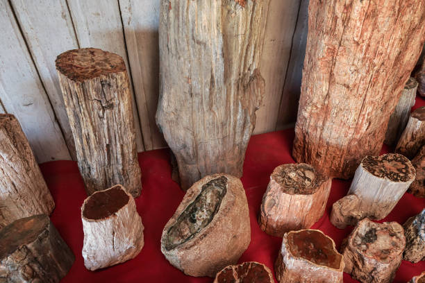 large petrified wood pieces on display at souvenir market in antananarivo, madagascar - close up shiny merchandise rough imagens e fotografias de stock