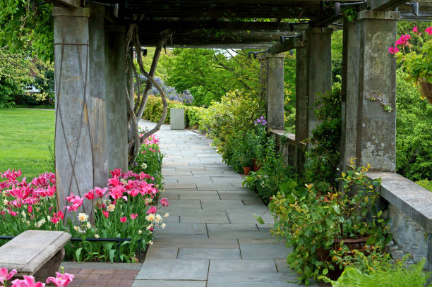 pergola su great lawn. wave hill nella sezione hudson hill di riverdale nel bronx, new york city - riverdale the bronx foto e immagini stock