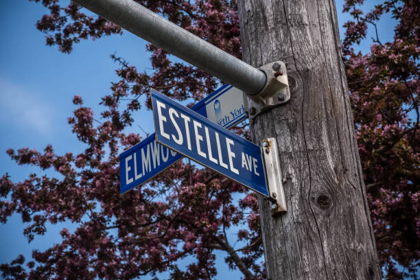 istock Estelle Avenue 1319447137