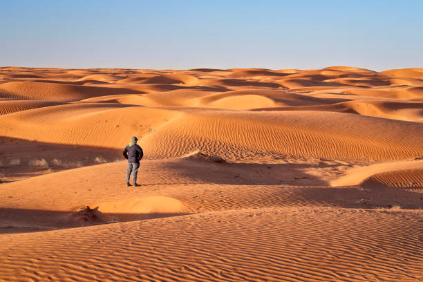 istock lonely male figure in a sand dunes field 1319448462
