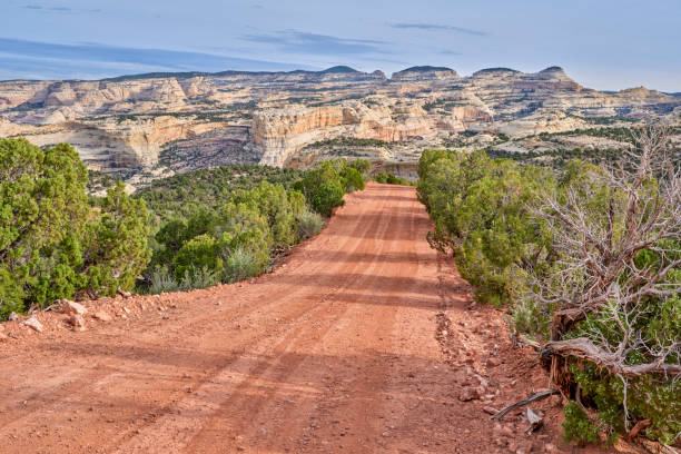 feldstraße im dinosaur national monument, co - dinosaur national monument stock-fotos und bilder