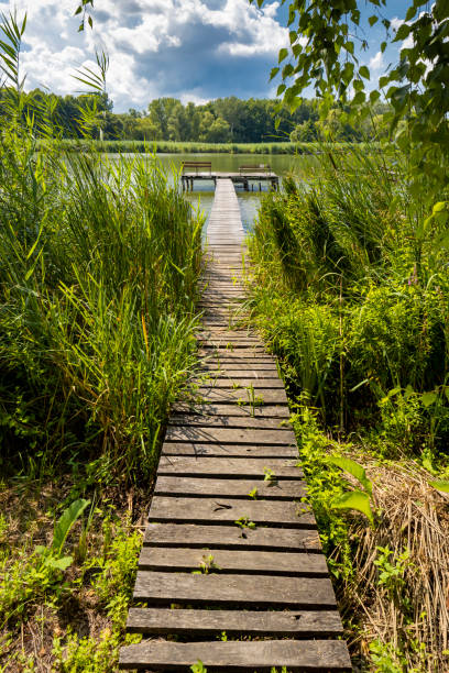 istock Pier on the pond Jenoi-to, Hungary 1319449127