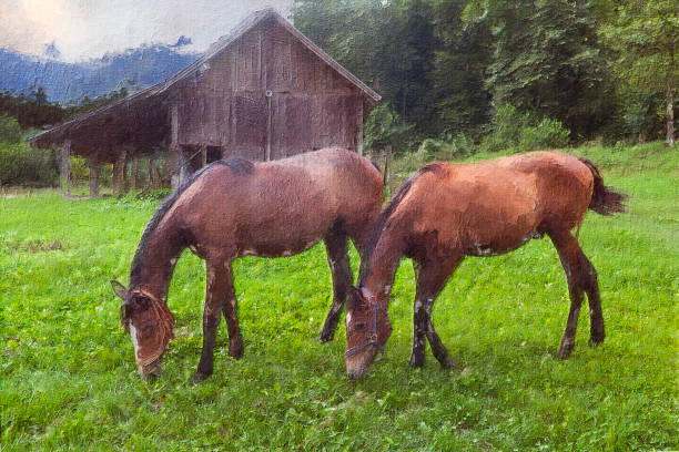 oil landscape painting showing horses on the meadow - serbia horse nature landscape imagens e fotografias de stock