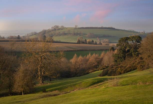 istock View towards Meon Hill from Hidcote Bartrim, Cotswolds, Gloucestershire, England 1319462053