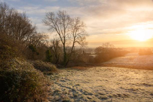 istock Landscape near Charingworth, Cotswolds, Gloucestershire, England 1319462061