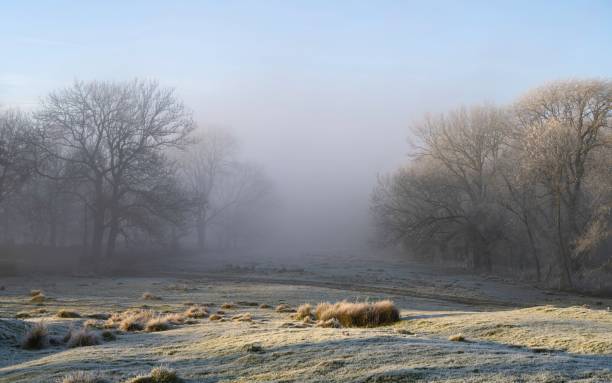 istock Winters morning in rural Cotswolds, England 1319462118