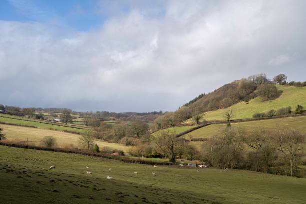 istock View towards Lower Lye, Herefordshire, England 1319462366