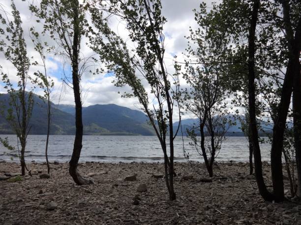 Yuco beach Yuco beach, Lacar lake, San Martin de los Andes, Patagonia lácar lake photos stock pictures, royalty-free photos & images