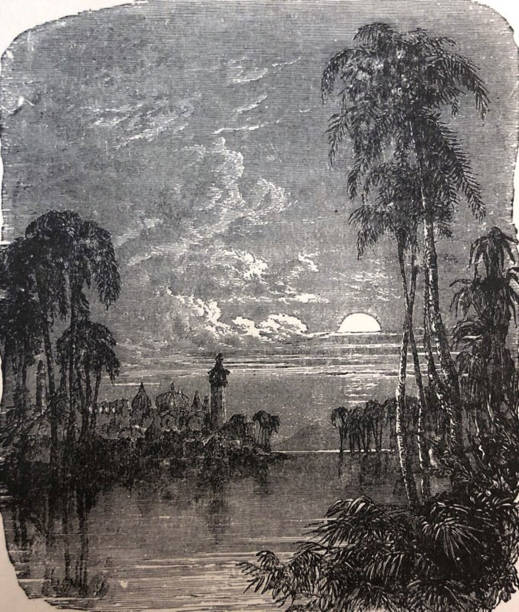 illustrations, cliparts, dessins animés et icônes de illustration antique - poésie de thomas moore - lune sur l’eau avec des palmiers sur le côté - antique engraved image moonlight night