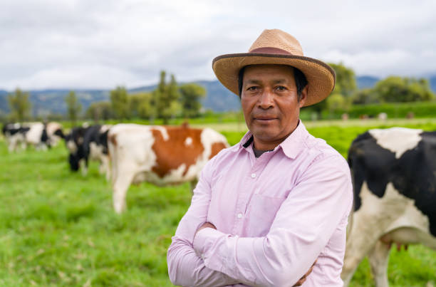 istock Farmer working at a dairy farm looking after his cows 1319465229