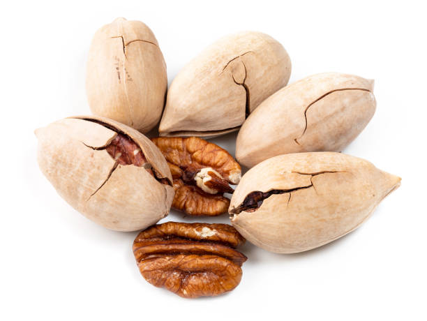 istock shelled and unshelled pecan nuts closeup on white 1319465435