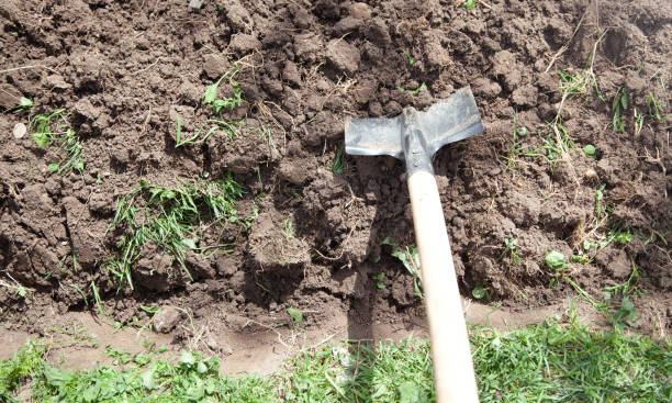 istock Shovel in soil in the garden. 1319467817