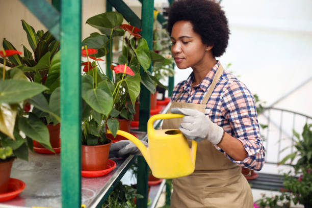 istock Woman watering flowers 1319475790