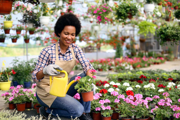 istock Florist watering plants 1319475829