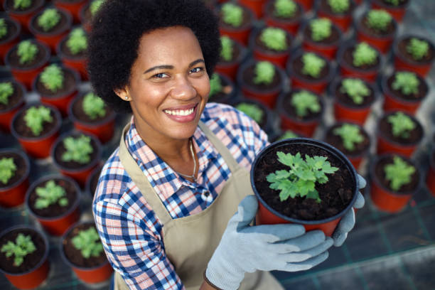 istock Smiling florist working in a greenhouse 1319475951