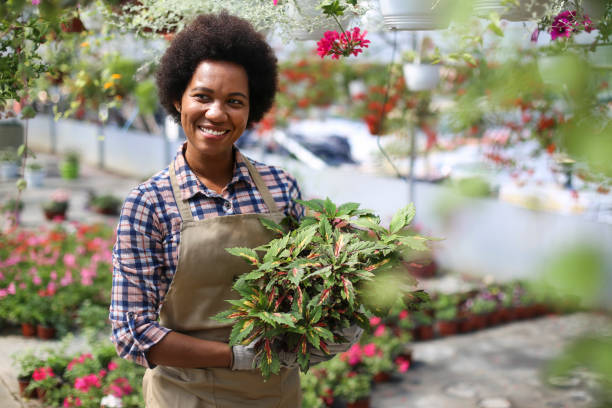 istock Smiling florist in a greenhouse 1319476006
