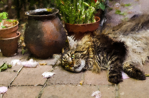 Oil landscape painting showing cat lying on the pavement in spring.