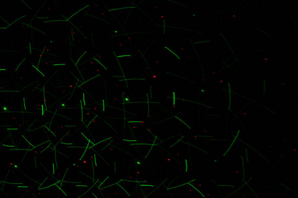 istock Patterns in green on the wall. Laser background. Party or disco concept. 1319478395