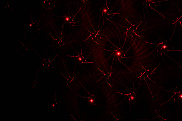 Patterns in red and green on the wall. Laser background. Party or disco concept.