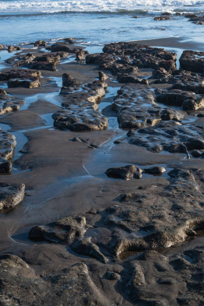 istock Beautiful volcanic black sand beach with big rocks on shore 1319480760