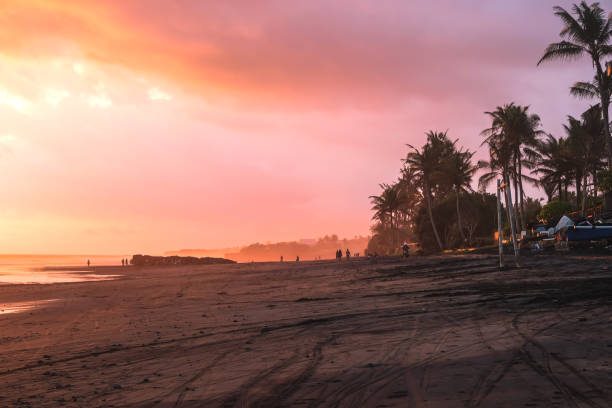 istock Empty black sand beach with bike trails during beautiful pink sunset 1319480957